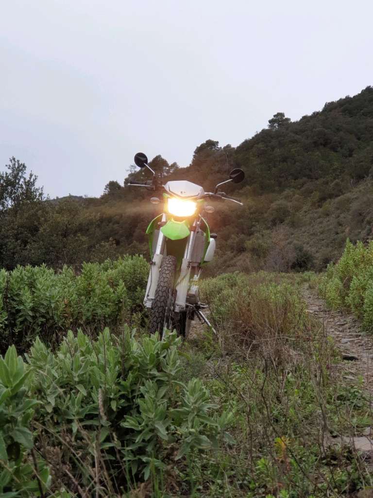 Kawasaki KLX 250S Enduro