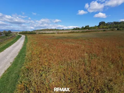 Immobilie kaufen in Oberwart – 5 575 m², € 279.000 – Bild 9 von 12