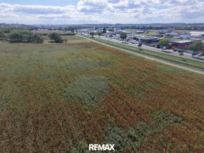 Immobilie kaufen in Oberwart – 5 575 m², € 279.000 – Bild 4 von 12