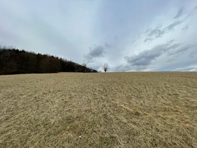 Grundstück kaufen in Sankt Pölten Land – 19 497 m², € 89.000 – Bild 2 von 4
