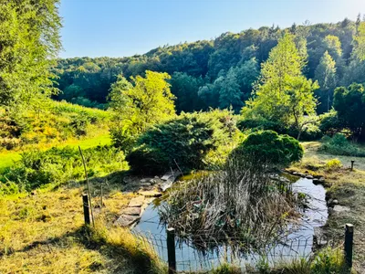 5-Zimmer-Haus mieten in Südoststeiermark – 150 m², € 1.000 – Bild 5 von 16