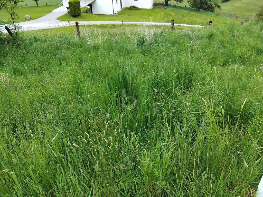 WER RUHE SUCHT WIRD HIER FÜNDIG - Ansicht 2