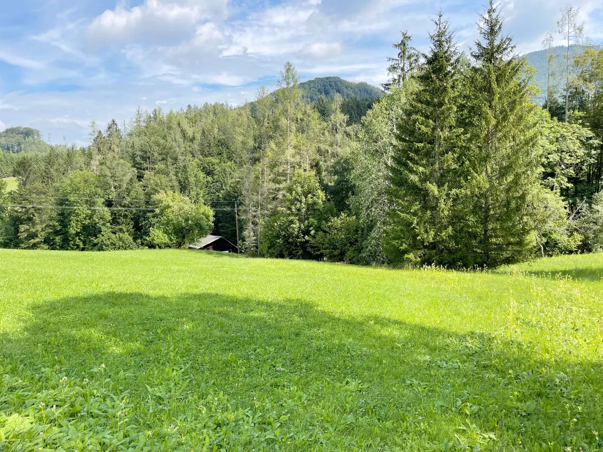 EBENAU, wunderschönes Baugrundstück - Ansicht 2