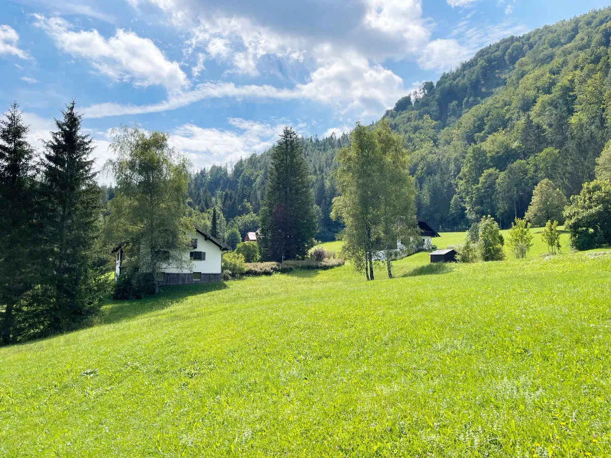EBENAU, wunderschönes Baugrundstück - Ansicht 3