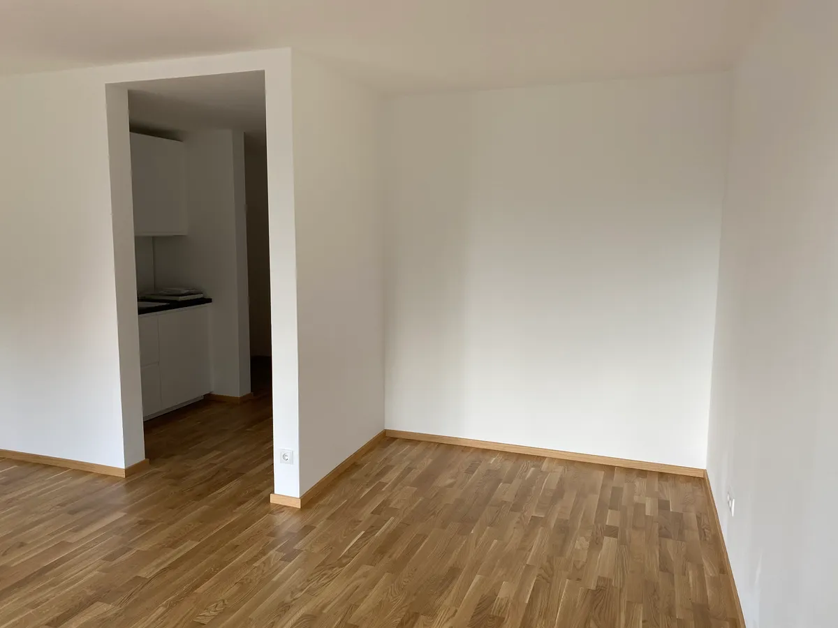 Garconniere in Top Lage mit großer Südterrasse - Ansicht 3