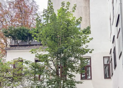3-Zimmer-Wohnung kaufen in Wien – 66,65 m², € 449.000 – Bild 5 von 11