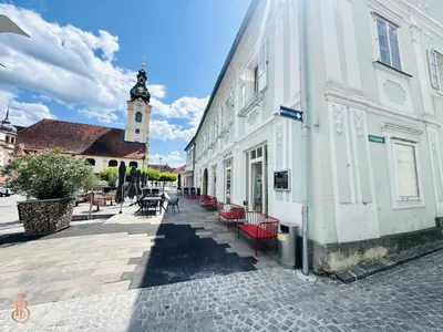 Gewerbeimmobilie kaufen in Hartberg-Fürstenfeld – 1 219 m², € 2.100.000 – Bild 6 von 20