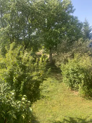 3-Zimmer-Haus mieten in Lilienfeld – 107 m², € 700 – Bild 9 von 21
