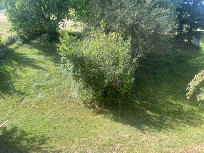 3-Zimmer-Haus mieten in Lilienfeld – 107 m², € 700 – Bild 6 von 21