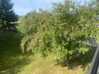 3-Zimmer-Haus mieten in Lilienfeld – 107 m², € 700 – Bild 5 von 21
