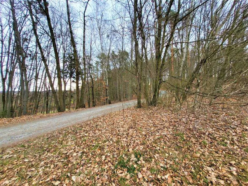 Baugrund (5.444m²) in Traumlage in Grieselstein - Nähe Therme Loipersdorf! - Widok 3