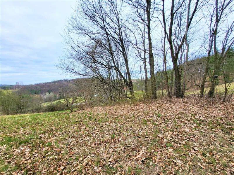 Baugrund (5.444m²) in Traumlage in Grieselstein - Nähe Therme Loipersdorf! - Widok 2