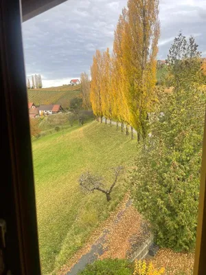 2-Zimmer-Wohnung mieten in Leibnitz – 60 m², € 560