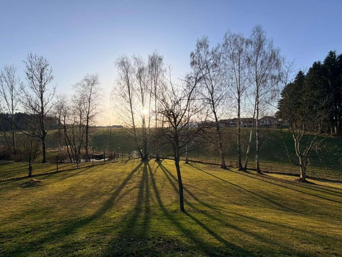 Sonniges Baugrundstück in Obertrum am See | 495 €/ m² | absolute Seltenheit | flexibel teilbar – pohled 2
