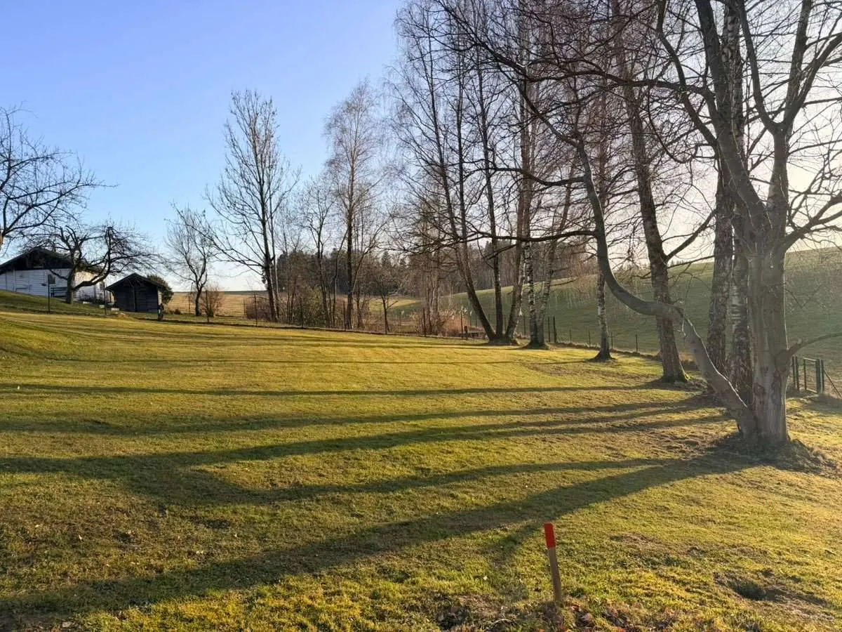 Sonniges Baugrundstück in Obertrum am See | 495 €/ m² | absolute Seltenheit | flexibel teilbar – pohled 3