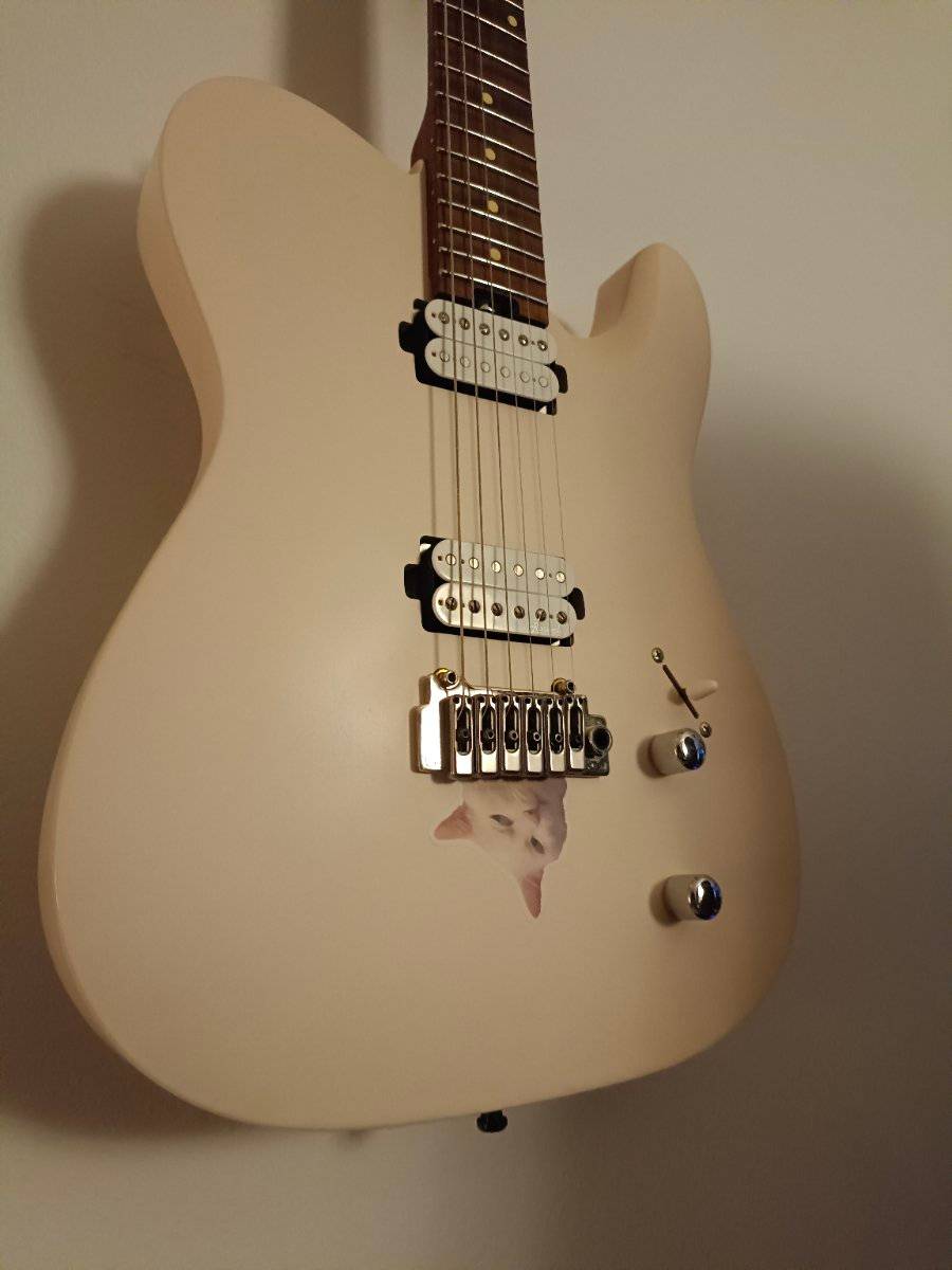 Harley Benton Fusion-T HH Roasted SP
