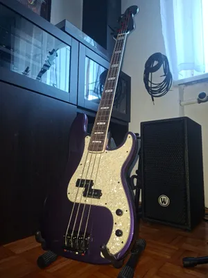 BASS GUITAR (eigenbau)