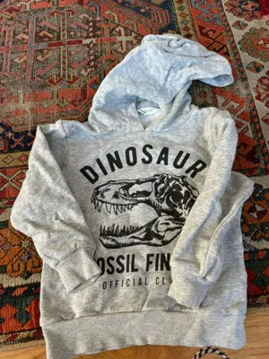 H&M Hoodie