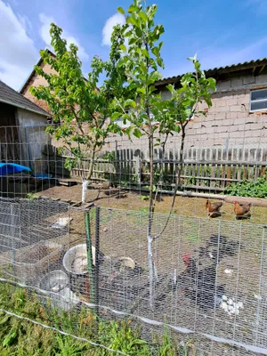 6-Zimmer-Immobilie kaufen in Waidhofen an der Thaya – 159 m², € 250.000 – Bild 15 von 21