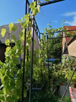 6-Zimmer-Immobilie kaufen in Waidhofen an der Thaya – 159 m², € 250.000 – Bild 16 von 21