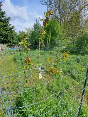 6-Zimmer-Immobilie kaufen in Waidhofen an der Thaya – 159 m², € 250.000 – Bild 17 von 21