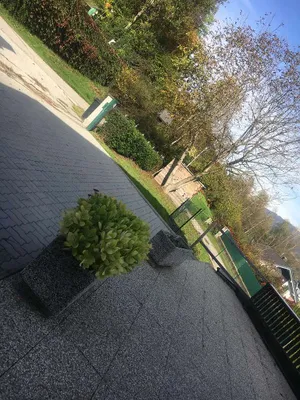 5-Zimmer-Wohnung mieten in Klagenfurt Land – 100 m², € 1.140 – Bild 9 von 11