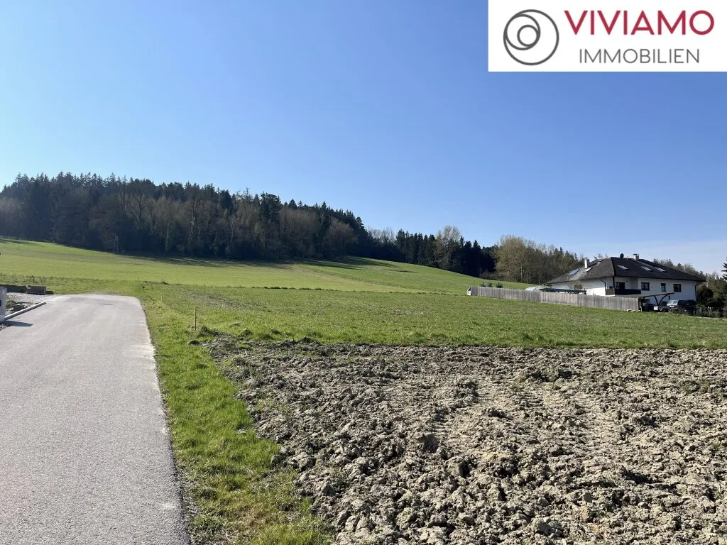 Ziegelmassiv-Bungalow TREND ab 98 m² Wohnfläche in Kematen am Innbach! - Ansicht 3
