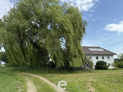 Immobilie kaufen in Kirchdorf an der Krems – 669 m², € 990.000 – Bild 2 von 22
