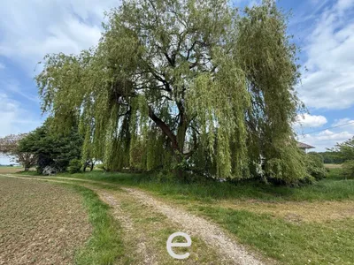 Immobilie kaufen in Kirchdorf an der Krems – 669 m², € 990.000 – Bild 14 von 22