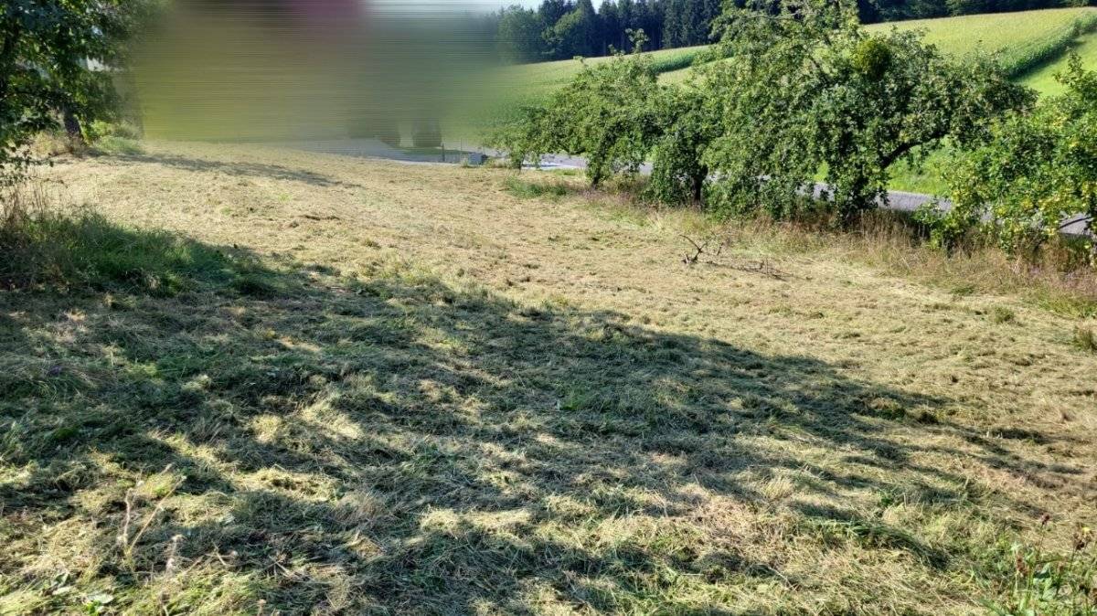 Baugrund in Preding, Preding
