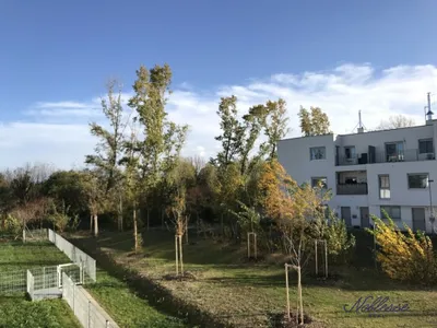 2-Zimmer-Wohnung mieten in Wien – 46 m², € 849 – Bild 11 von 12