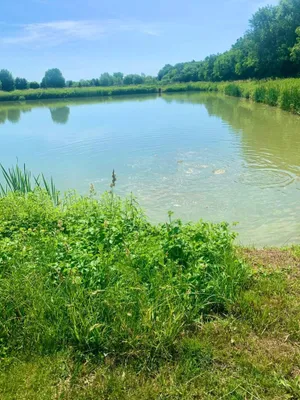 Immobilie kaufen in Oberwart – 90 000 m², € 430.000 – Bild 3 von 9