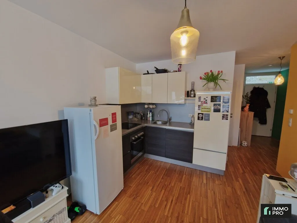 Wohnung – Graz, Innere Ragnitz, Ries