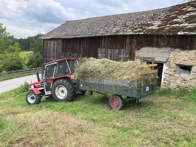 Immobilie kaufen in Freistadt – 12 000 m², € 150.000 – Bild 27 von 27