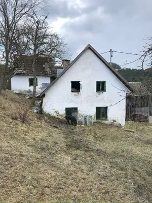 Immobilie kaufen in Freistadt – 12 000 m², € 150.000 – Bild 14 von 27