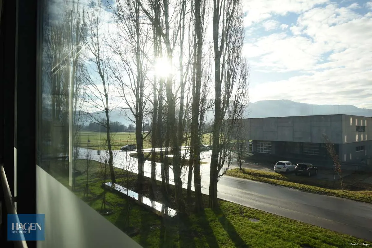 Gewerbefläche (ca. 230 m²) im Millennium Park 1 in Lustenau zur Miete! - Bild 2