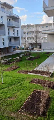 2-Zimmer-Wohnung mieten in Linz Land – 38 m², € 725 – Bild 12 von 14