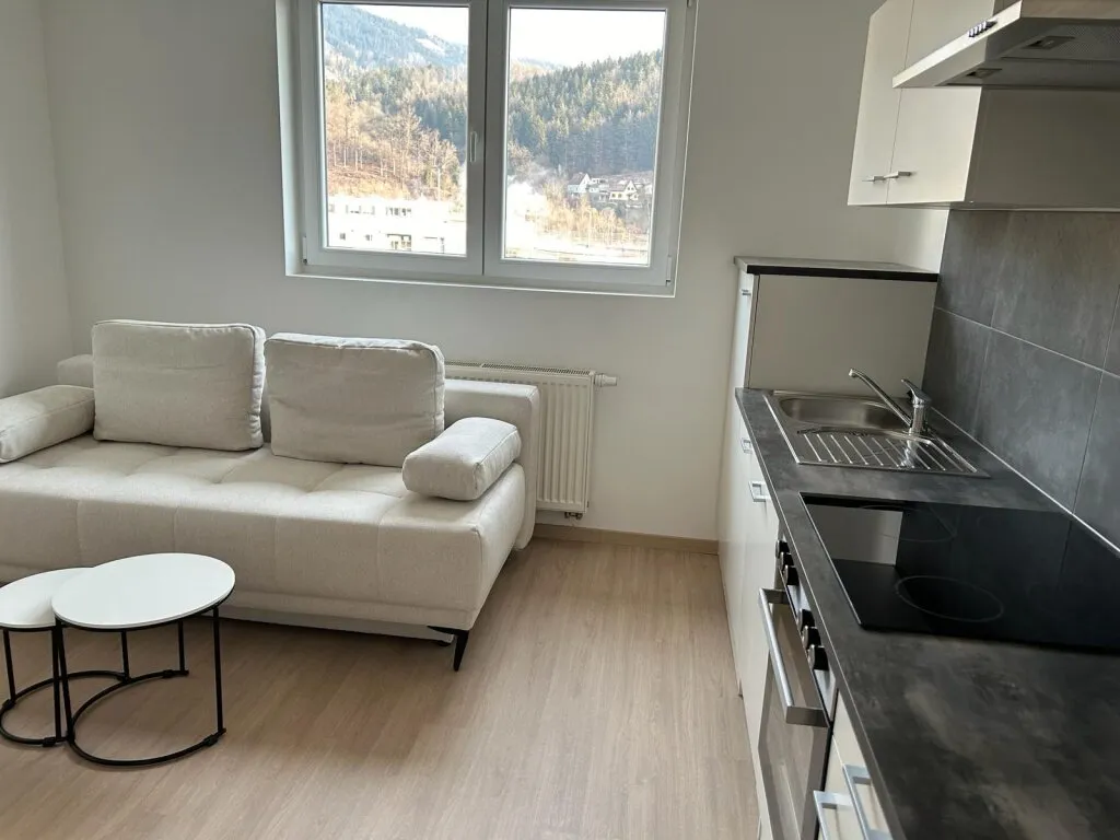 Wohnung – Leoben, Donawitz - Ansicht 3