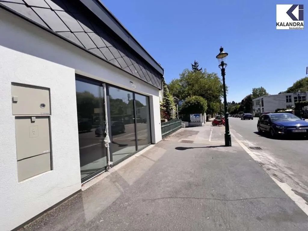 360° TOUR // VINEYARD RESIDENCES - GESCHÄFTSLOKAL in NEUSTIFT AM WALDE - Ansicht 2