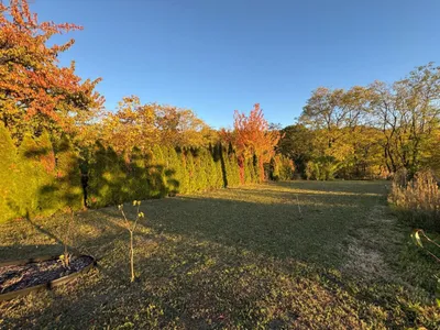 Haus kaufen in Mistelbach – 81,33 m², € 197.000 – Bild 17 von 20