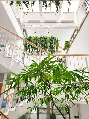 Gewerbeimmobilie mieten in Wien – 100 m², € 2.000 – Bild 4 von 26