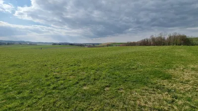 Grundstück kaufen in Ried im Innkreis – 21 952 m², € 10 – Bild 3 von 5