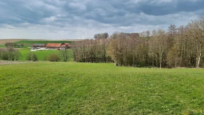 Grundstück kaufen in Ried im Innkreis – 21 952 m², € 10 – Bild 2 von 5