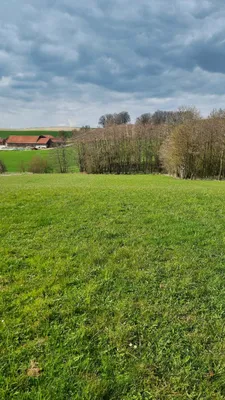 Grundstück kaufen in Ried im Innkreis – 21 952 m², € 10