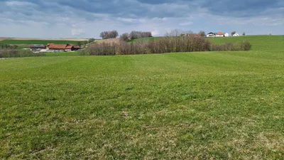 Grundstück kaufen in Ried im Innkreis – 21 952 m², € 10 – Bild 4 von 5