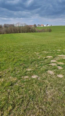 Grundstück kaufen in Ried im Innkreis – 21 952 m², € 10 – Bild 5 von 5