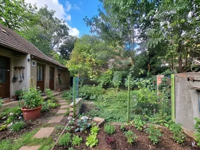 4-Zimmer-Haus kaufen in Mistelbach – 100 m², € 129.000 – Bild 6 von 13