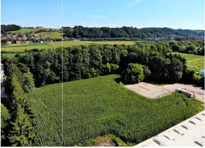 Immobilie kaufen in Südoststeiermark – 5 000 m² – Bild 5 von 10
