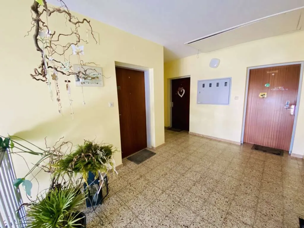 Apfelberg: 3-Zimmer-Wohnung mit Loggia: jetzt nach eigenem Geschmack fertigstellen - Ansicht 2