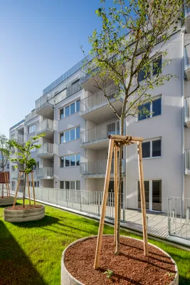 2-Zimmer-Neubauwohnung mit 6 m² Balkon - Hofruhelage – Bild 3